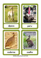 Animais da fazenda - cartões de classificação Animais da fazenda - cartões de classificação para Pré-Escola de Língua Portuguesa, Ciências, Seres Vivos, Vocabulário - M...