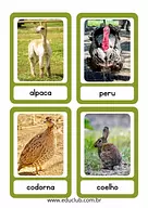 Animais da fazenda - cartões de classificação
