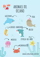 Animais do oceano Animais do oceano para Creche, Pré-Escola de Língua Portuguesa, Recursos Educativos, Ciências, Seres Vivos, Vocabulário - ...