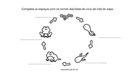 Ciclo de vida do sapo para completar para 3º Ano, 2º Ano, 1º Ano de Ciências, Seres Vivos, Ciclos de vida - Material educa...