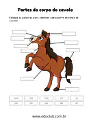 Partes de um cavalo para completar para 5º Ano, 4º Ano, 3º Ano, 2º Ano, 1º Ano de Ciências, Seres Vivos - Material educaci...
