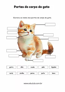 Partes do corpo do gato