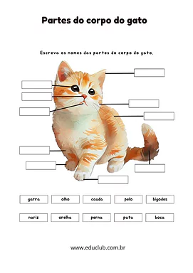 Partes do corpo do gato Partes do corpo do gato para 5º Ano, 4º Ano, 3º Ano, 2º Ano, 1º Ano de Ciências, Seres Vivos - Material educacional