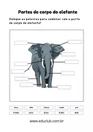 Partes do corpo do elefante para 5º Ano, 4º Ano, 3º Ano, 2º Ano, 1º Ano de Ciências, Seres Vivos - Material educacional