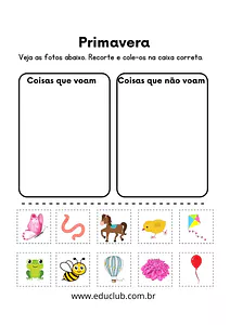 Voa ou não voa?
