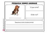 Pesquisa sobre animais de estimação para 5º Ano, 4º Ano, 3º Ano, 2º Ano, 1º Ano de Recursos Educativos, Ciências, Seres Vi...