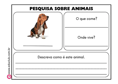 Pesquisa sobre animais de estimação Pesquisa sobre animais de estimação para 5º Ano, 4º Ano, 3º Ano, 2º Ano, 1º Ano de Recursos Educativos, Ciências, Seres Vi...