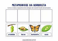 Atividade sobre ciclo de vida da borboleta