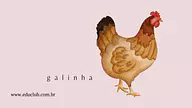 Lâminas sobre o ciclo de vida da galinha para 3º Ano, 2º Ano de Recursos Educativos, Ciências, Seres Vivos, Ciclos de vida...