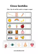 Cinco sentidos humanos para 1º Ano de Ciências, Cinco sentidos - Material educacional