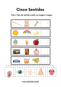 Cinco sentidos humanos