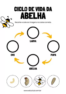 Atividade sobre o ciclo de vida da abelha