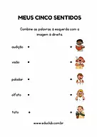Atividade sobre cinco sentidos para Educação Infantil