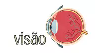 Cartaz do sentido da visão para 5º Ano, 4º Ano, 3º Ano, 2º Ano, 1º Ano de Recursos Educativos, Ciências, Cinco sentidos - ...