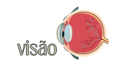Cartaz do sentido da visão Cartaz do sentido da visão para 5º Ano, 4º Ano, 3º Ano, 2º Ano, 1º Ano de Recursos Educativos, Ciências, Cinco sentidos - ...