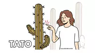 Cartaz do sentido do tato para 5º Ano, 4º Ano, 3º Ano, 2º Ano, 1º Ano de Recursos Educativos, Ciências, Cinco sentidos - M...