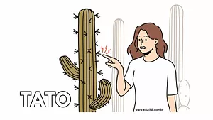 Cartaz do sentido do tato