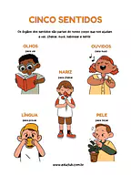 Funções dos órgãos dos sentidos para 5º Ano, 4º Ano, 3º Ano, 2º Ano, 1º Ano de Recursos Educativos, Ciências, Cinco sentid...