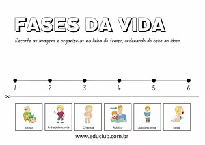 Atividade fases da vida do ser humano