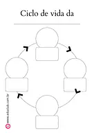 Molde ciclo da vida para 3º Ano, 2º Ano, 1º Ano de Ciências, Seres Vivos, Tipos de folhas, Ciclos de vida - Material educa...