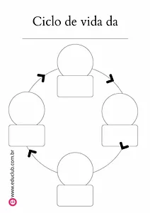 Molde ciclo da vida