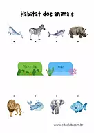 Habitat dos animais: aquático ou terrestre?