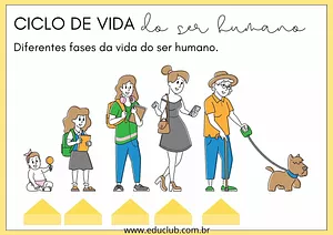 Fases da vida humana