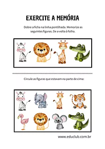 Exercício de memória visual