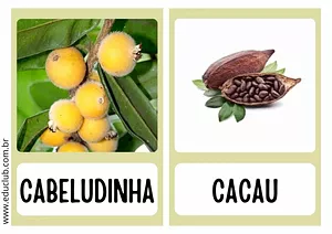Fruta com C