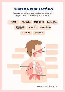 Atividade do sistema respiratorio