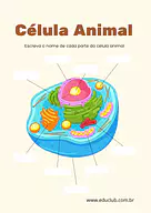 Atividade de célula animal para completar para 5º Ano, 4º Ano, 3º Ano de Ciências, Seres Vivos - Material educacional