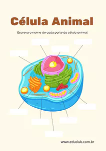 Atividade de célula animal para completar