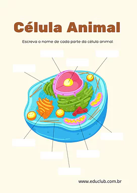 Atividade de célula animal para completar para 5º Ano, 4º Ano, 3º Ano de Ciências, Seres Vivos - Material educacional