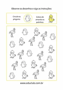 Atividade de observação visual