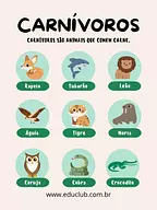Cartaz dos animais carnívoros