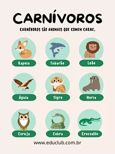 Cartaz dos animais carnívoros