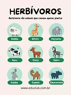 Animais herbívoros