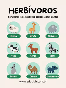 Animais herbívoros