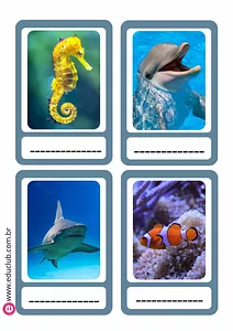 Atividade de animais marinhos para completar