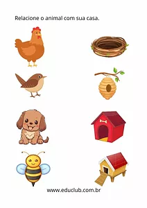 Onde vive cada animal?