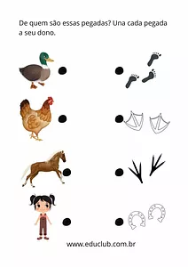 Pegadas dos animais