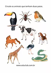 Quais são os animais bípedes?