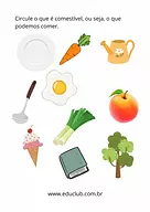 O que podemos comer?