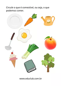 O que podemos comer?