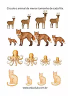 Qual o animal menor?