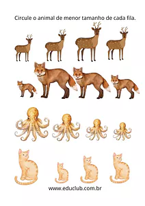 Qual o animal menor?