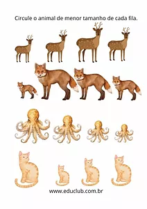 Qual o animal menor?
