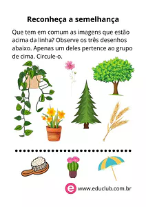 Reconheça a semelhança