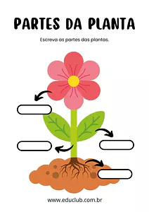 Partes da planta