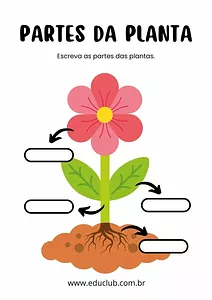 Partes da planta